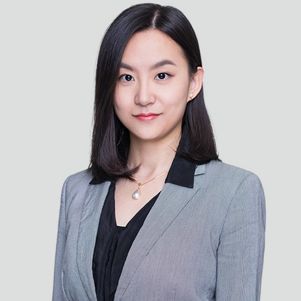 财务调查专员