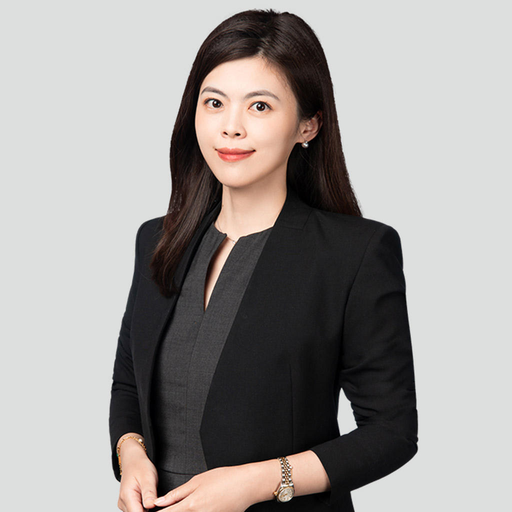 案件协调顾问